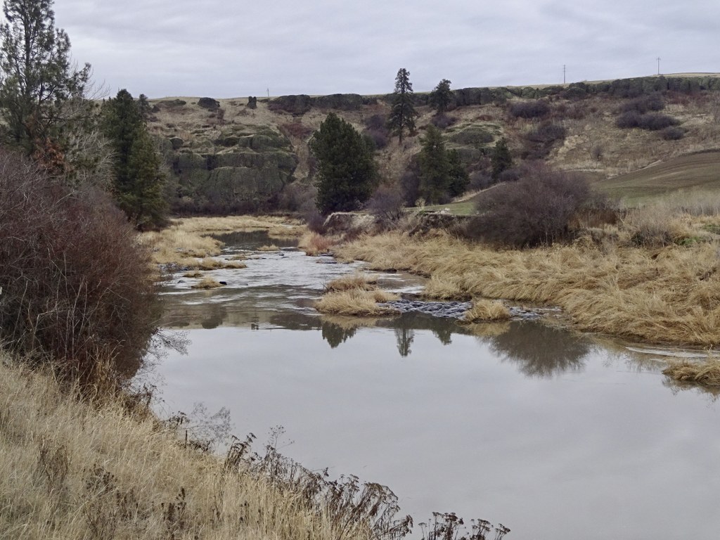 Colfax Trail — Washington Trails Association